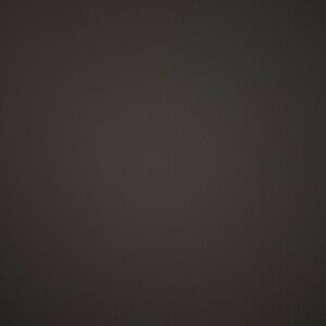 Meet your Posher, Amylia